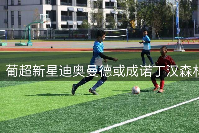 葡超新星迪奥曼德或成诺丁汉森林防线新核 转会谈判进入关键阶段